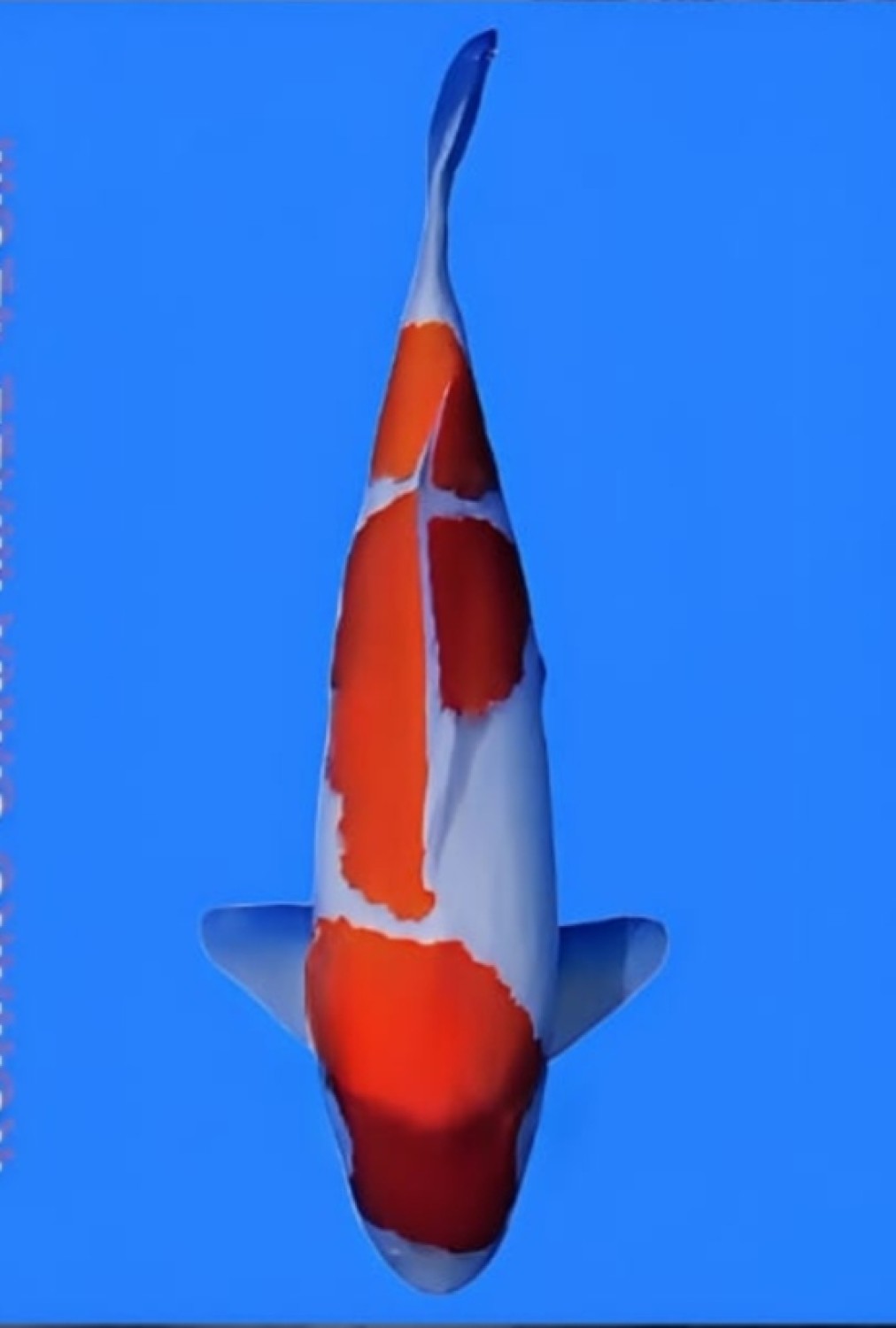 Juara 1
