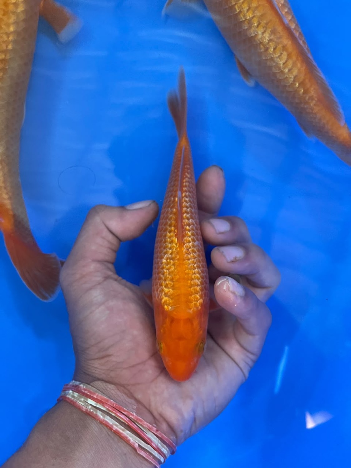 Juara 2