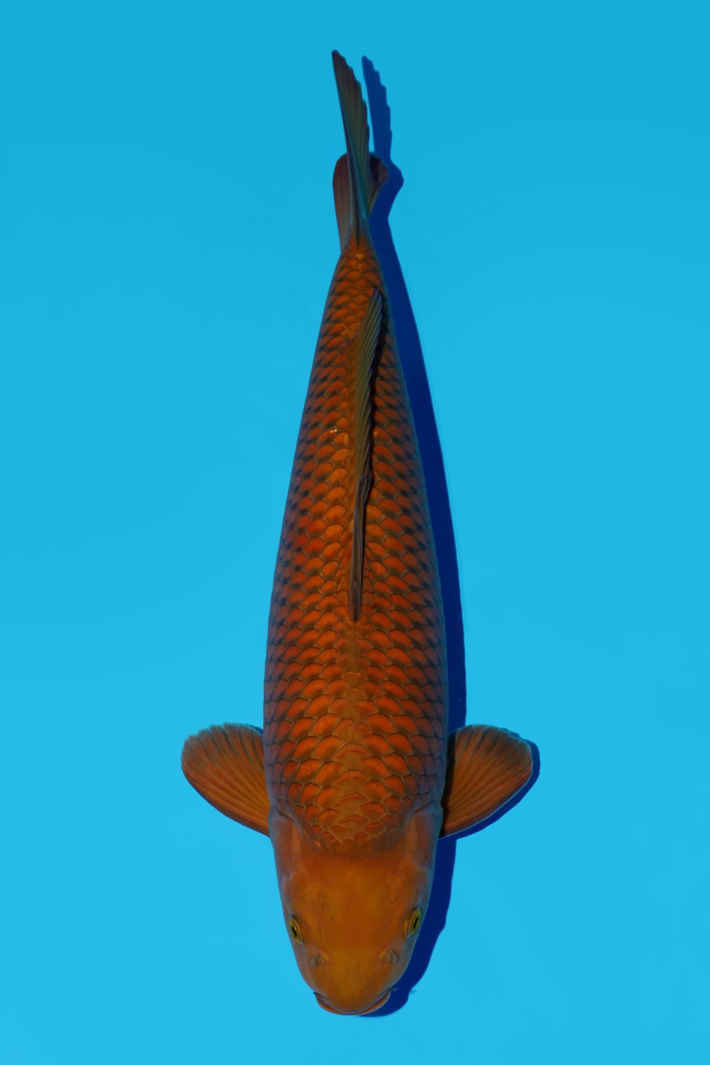 Juara 3