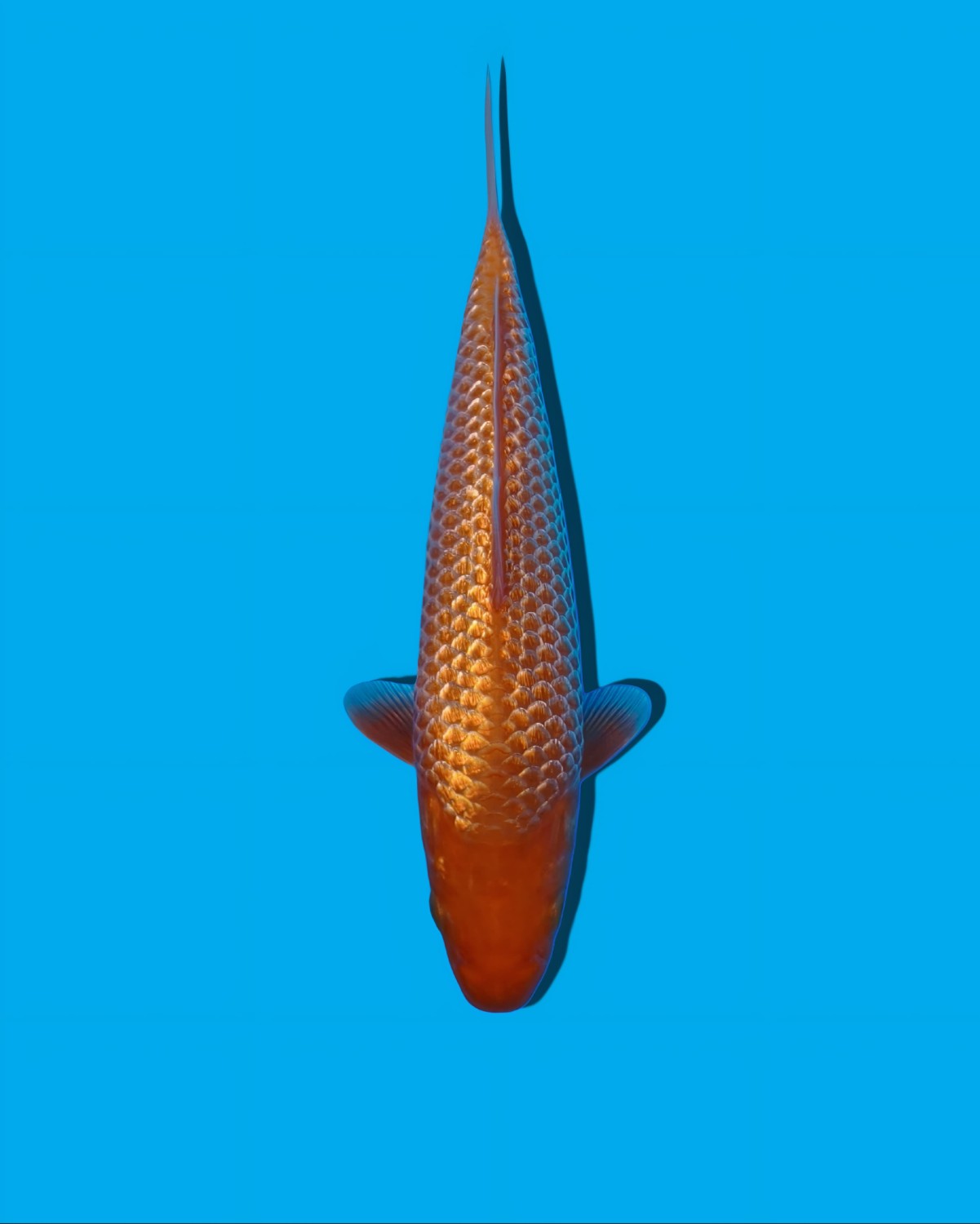 Juara 4