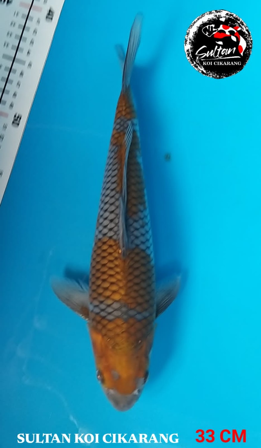 Juara 4
