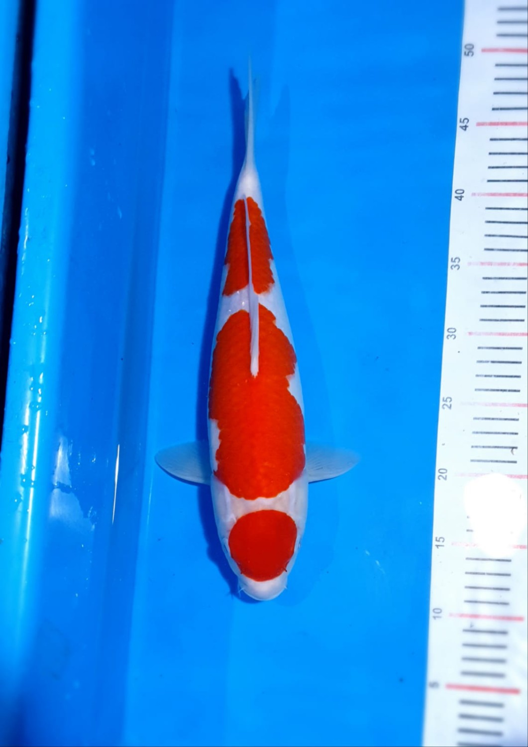 Juara 2