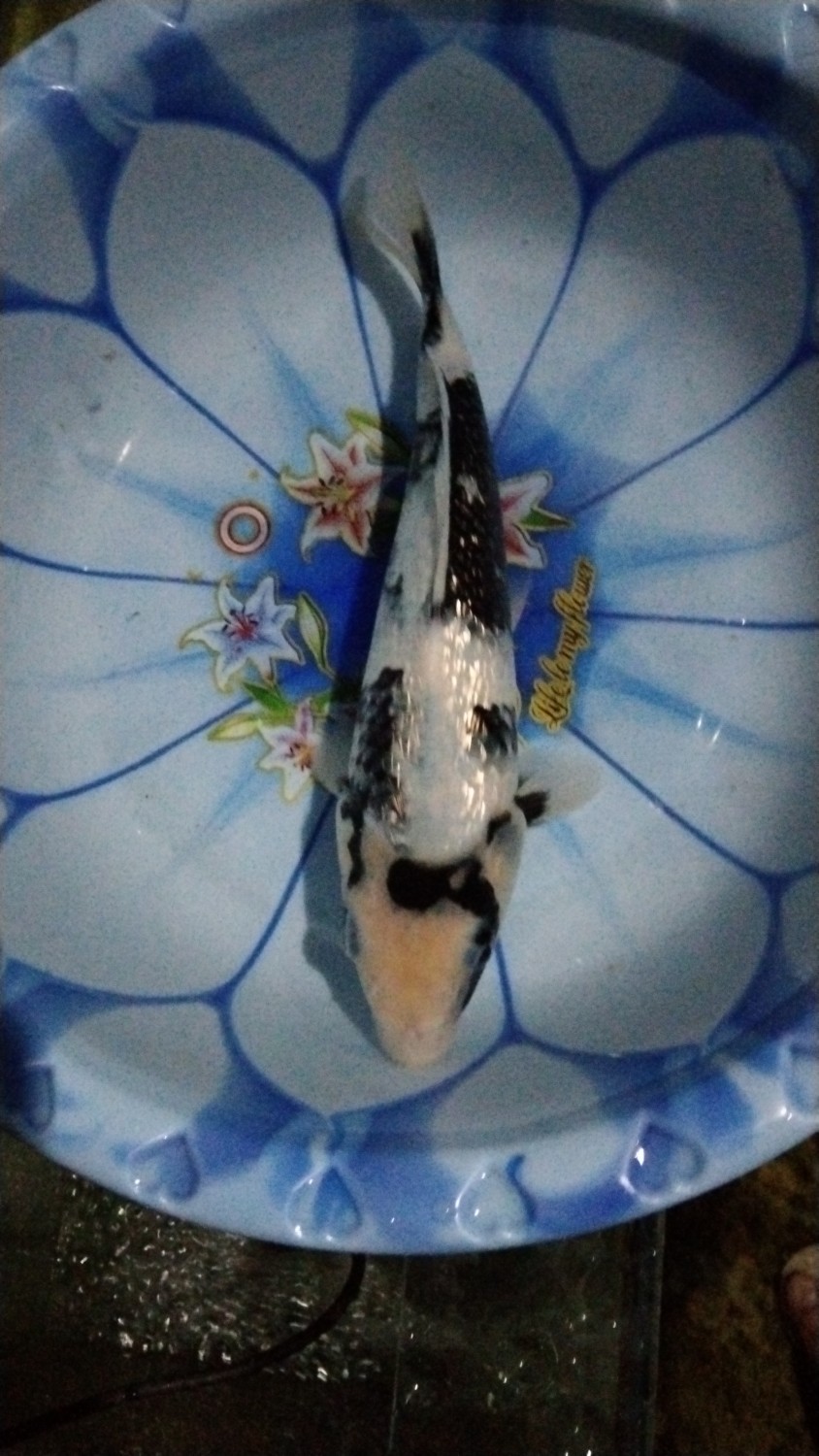 Juara 2