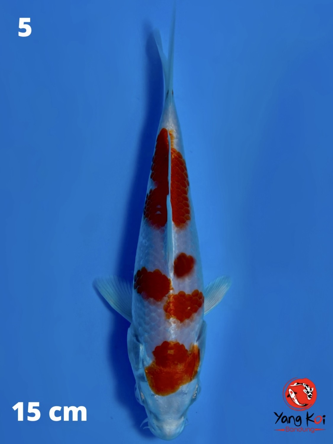 Juara 2