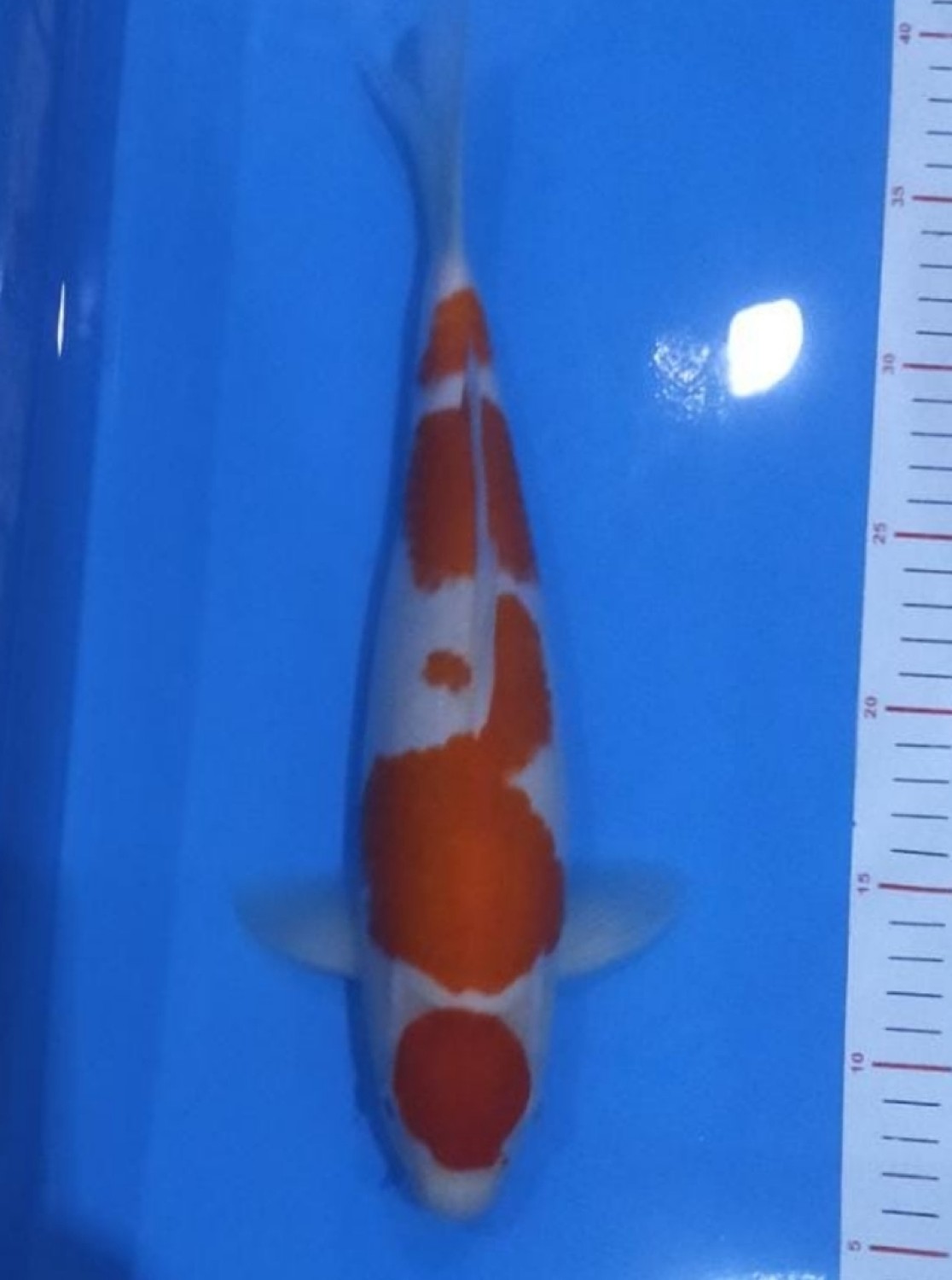 Juara 2