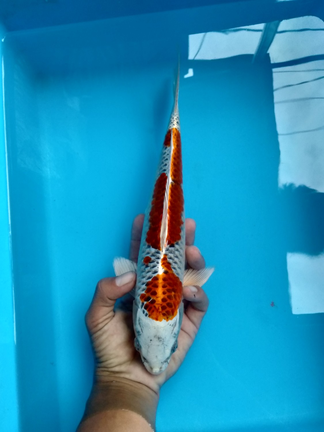 Juara 2