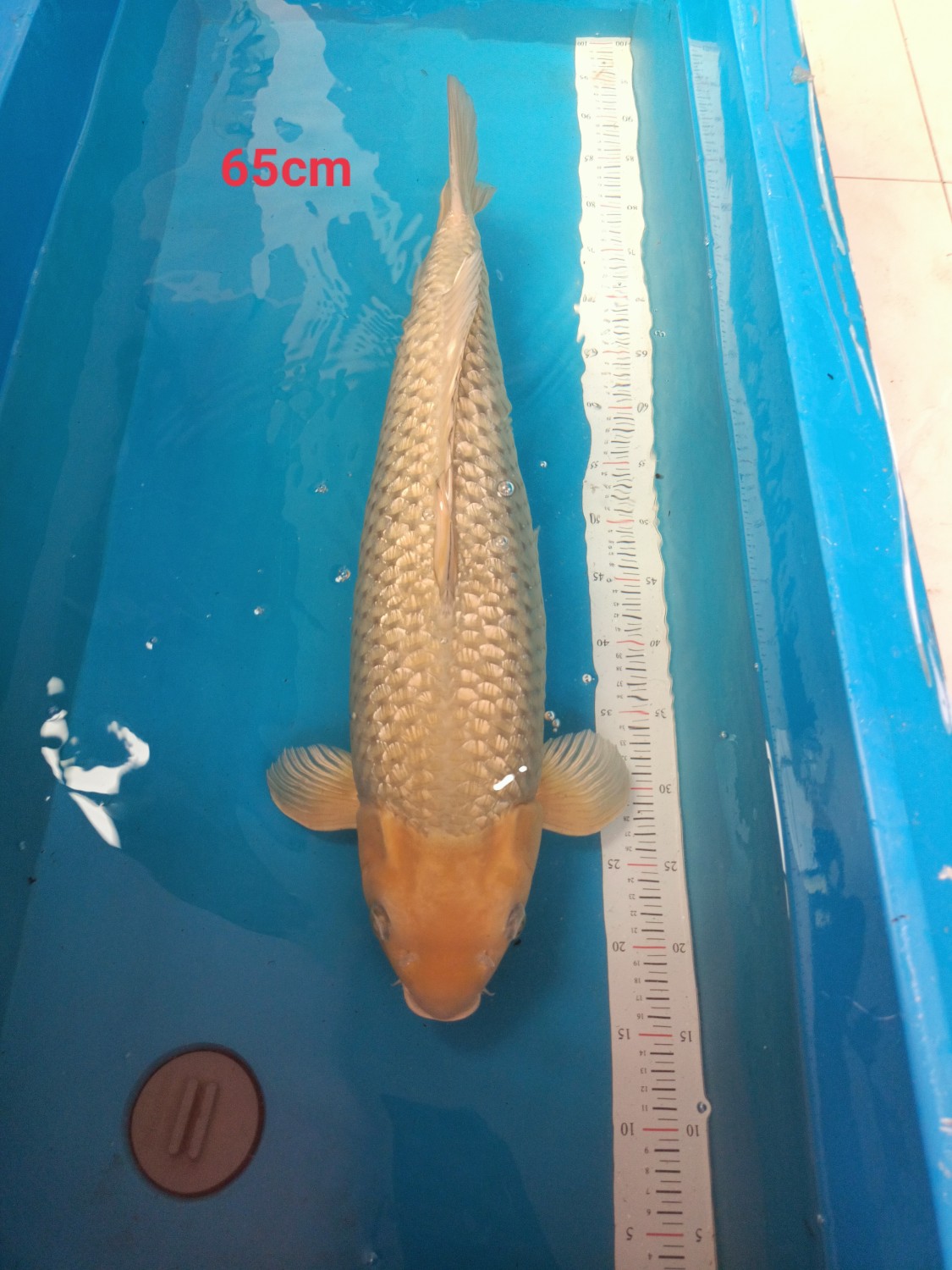 Juara 2