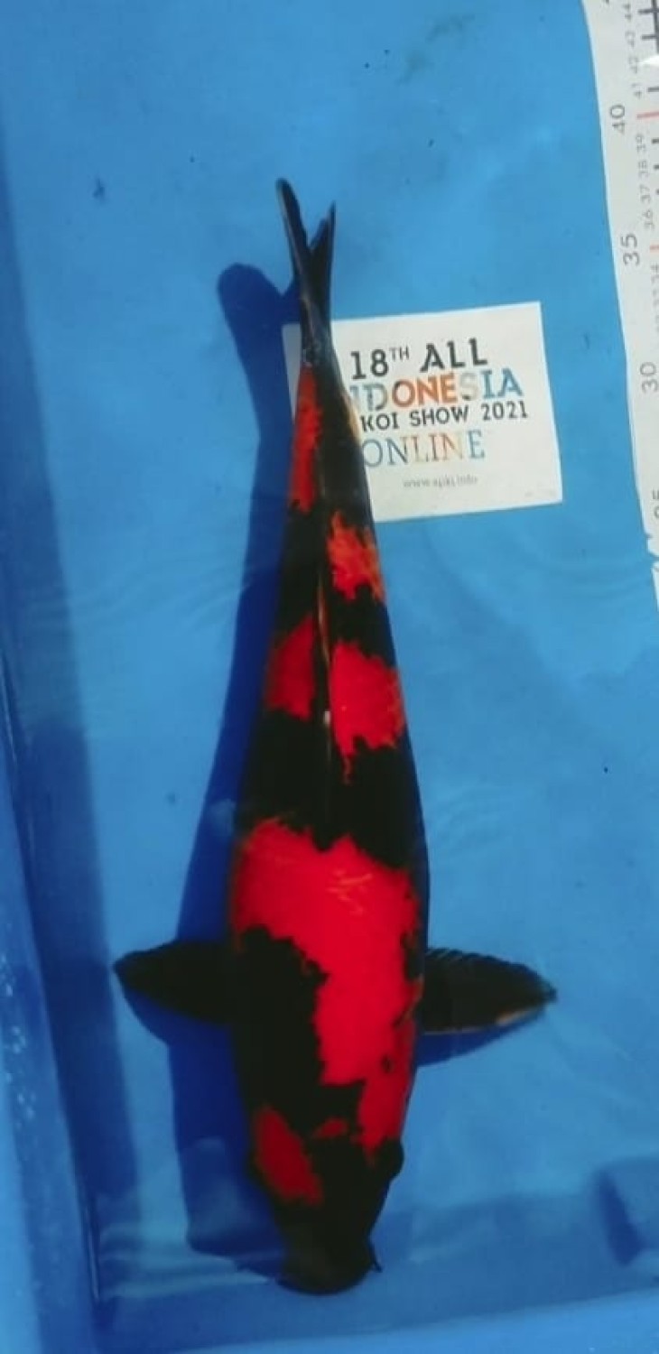 Juara 2