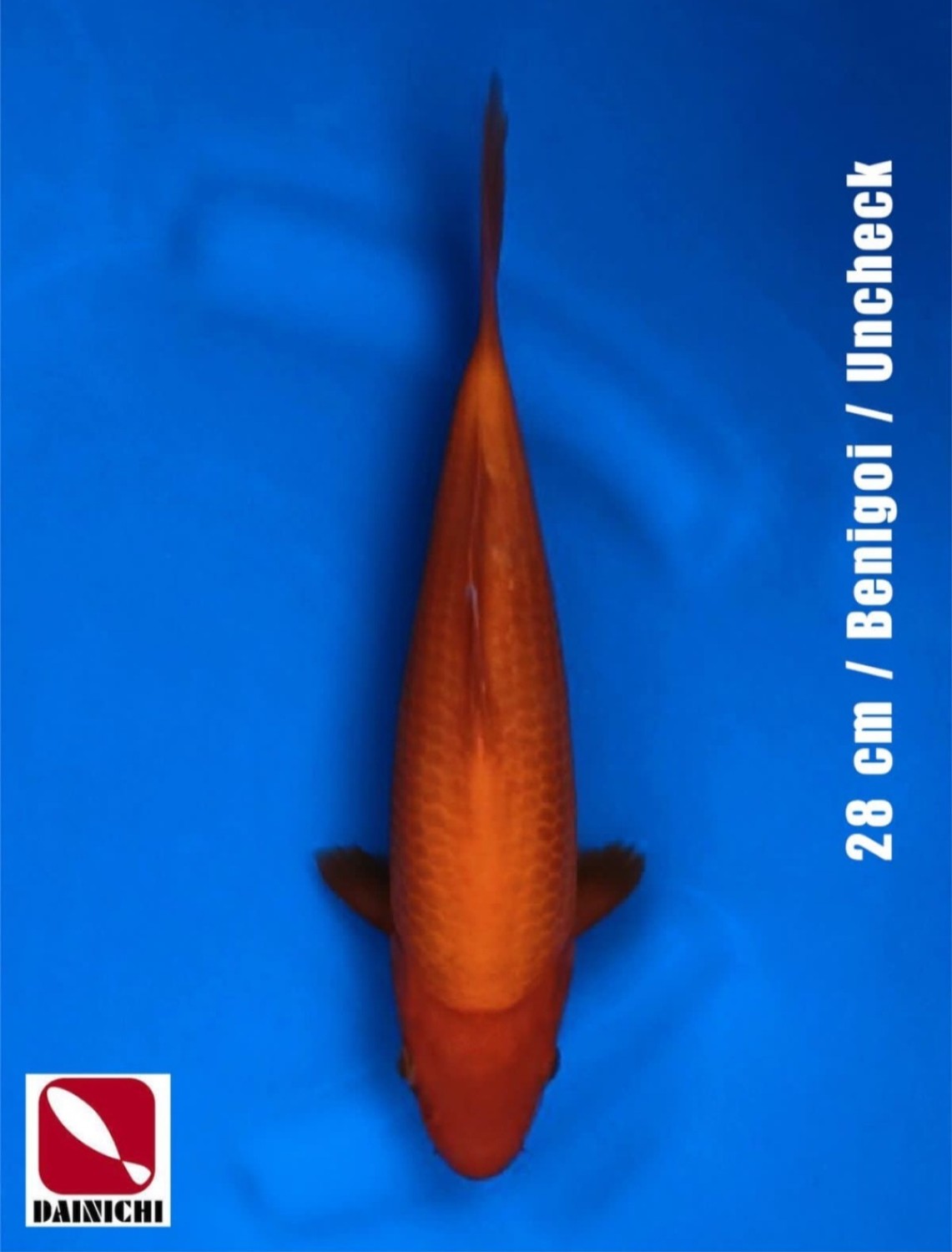 Juara 4