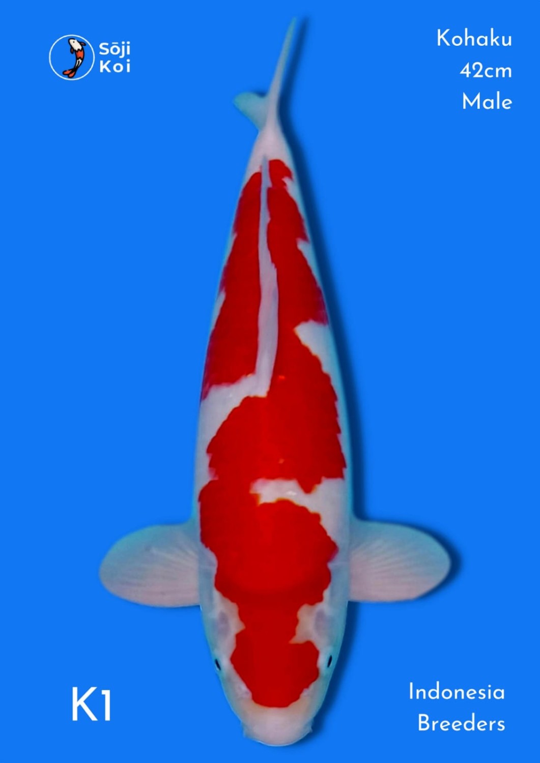 Juara 3