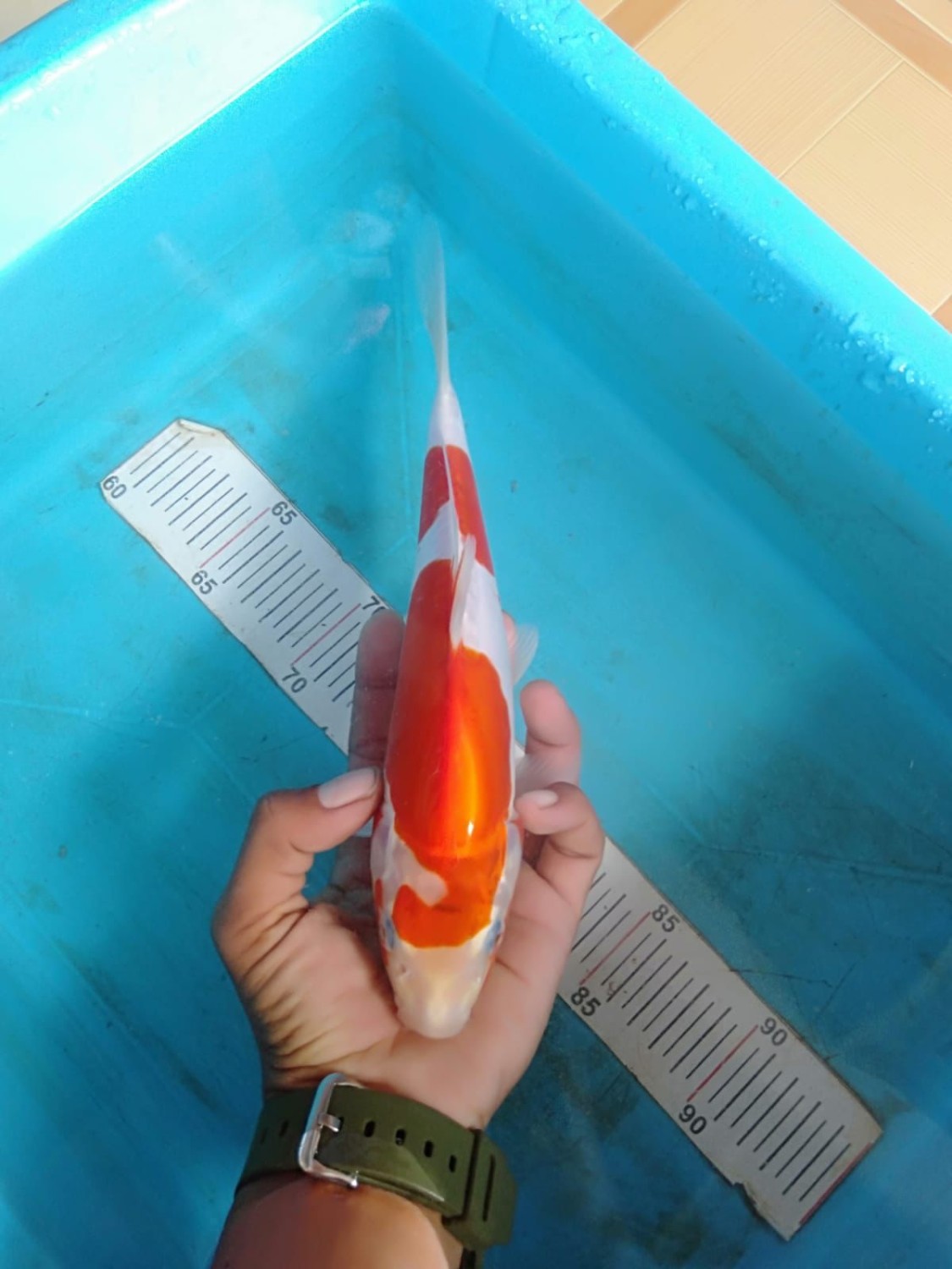 Juara 3