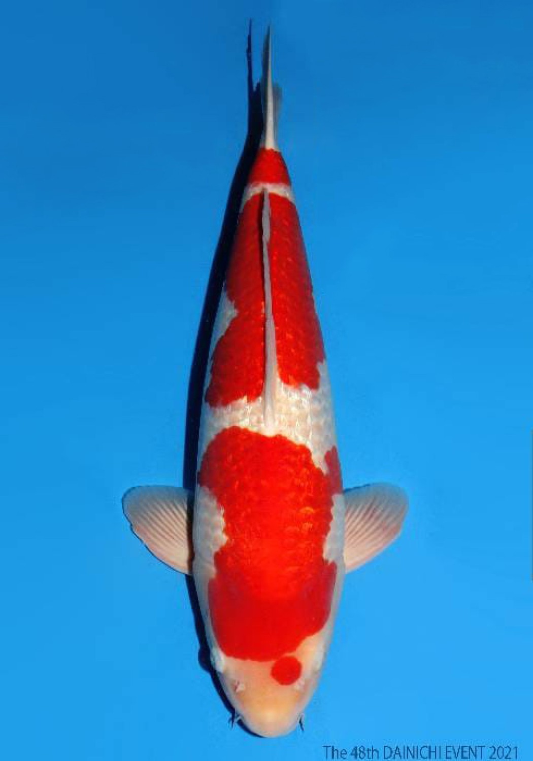 Juara 1