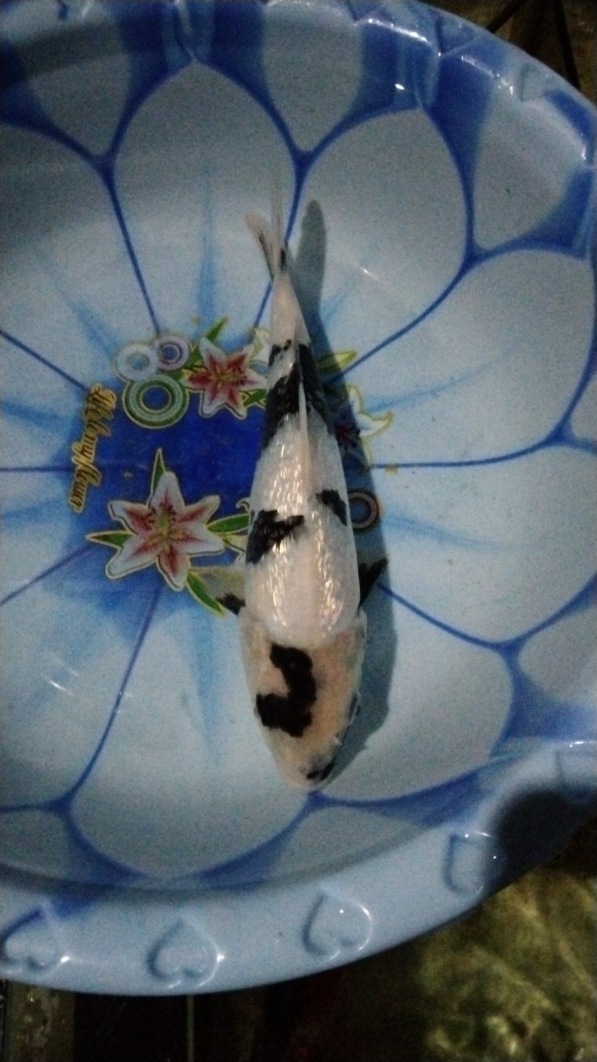 Juara 3