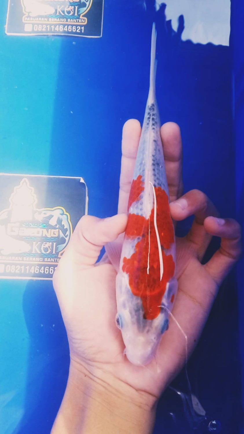 Juara 4