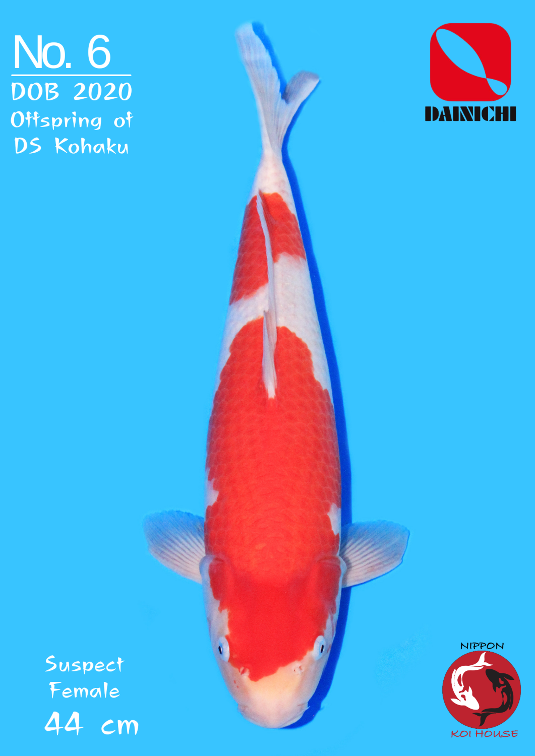 Juara 4