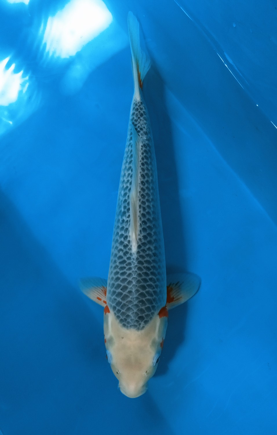 Juara 2