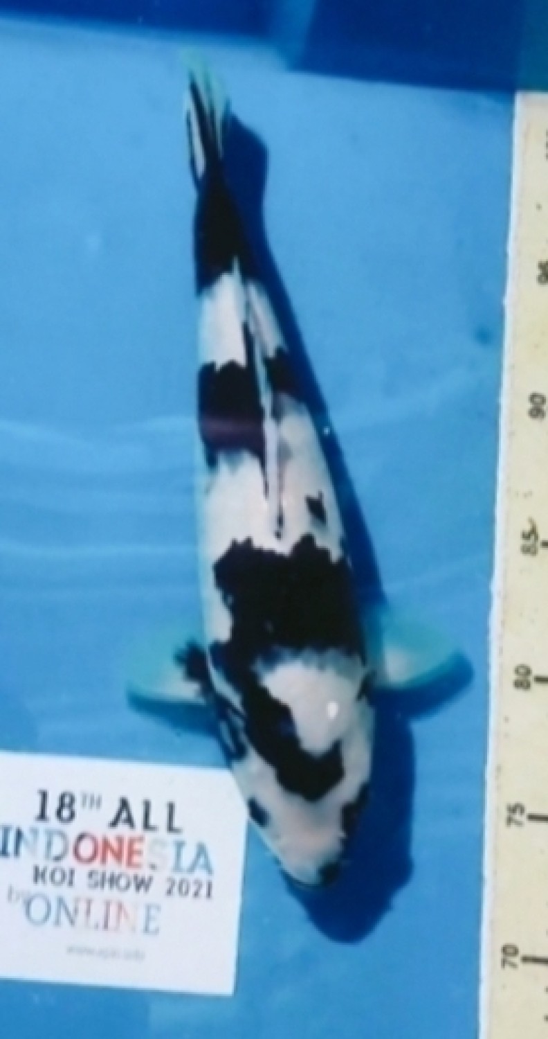 Juara 3