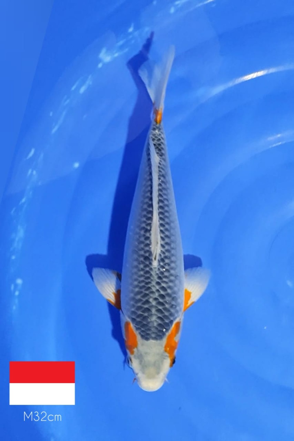 Juara 1