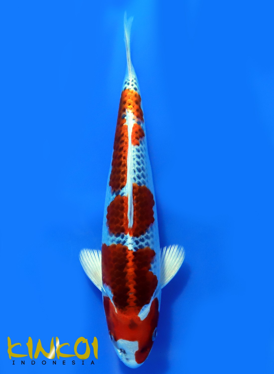 Juara 2