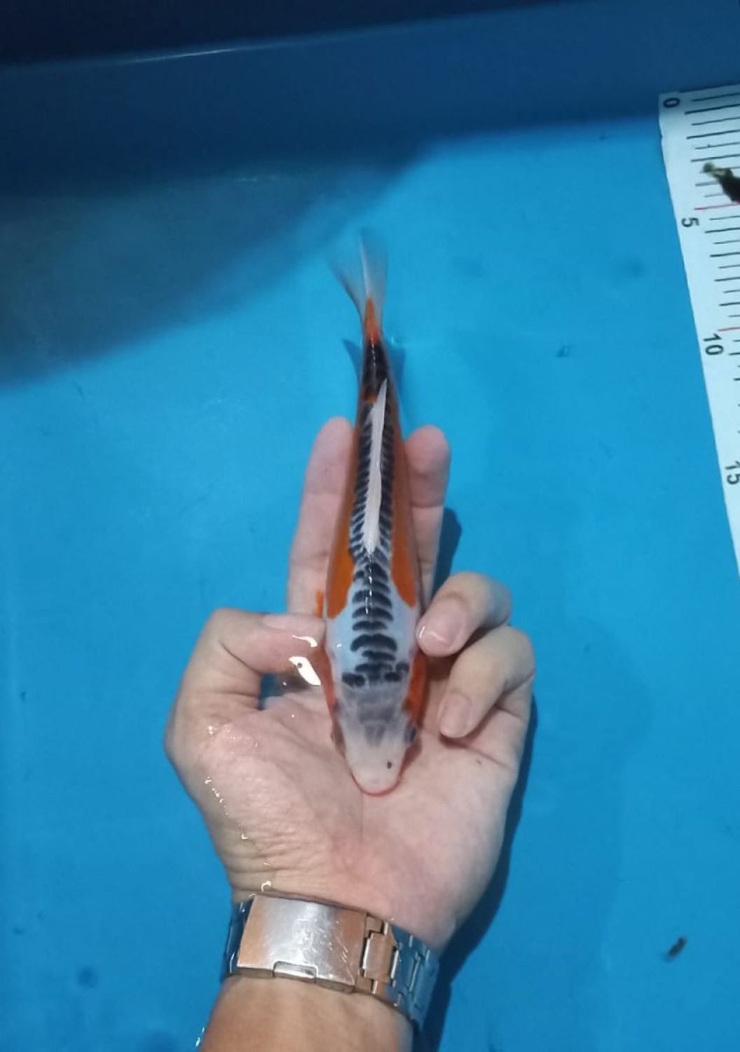 Juara 2