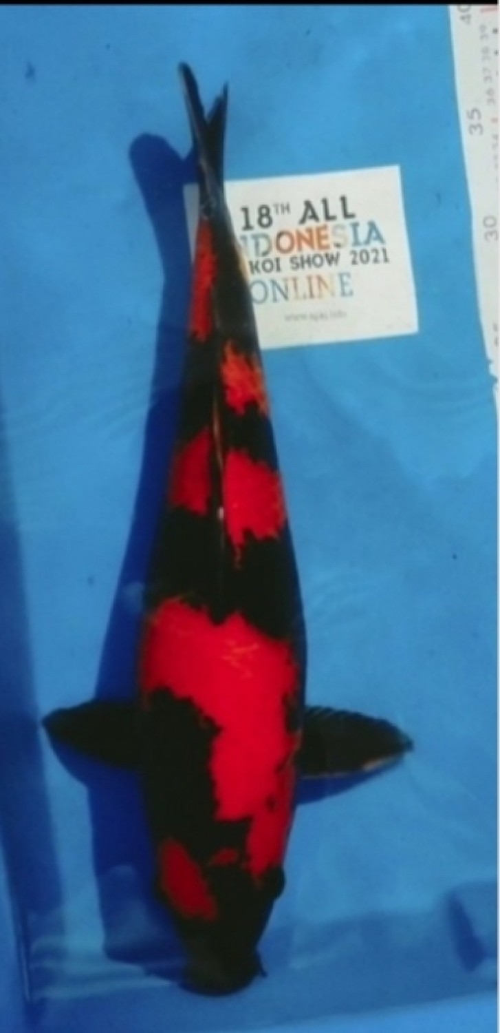 Juara 3