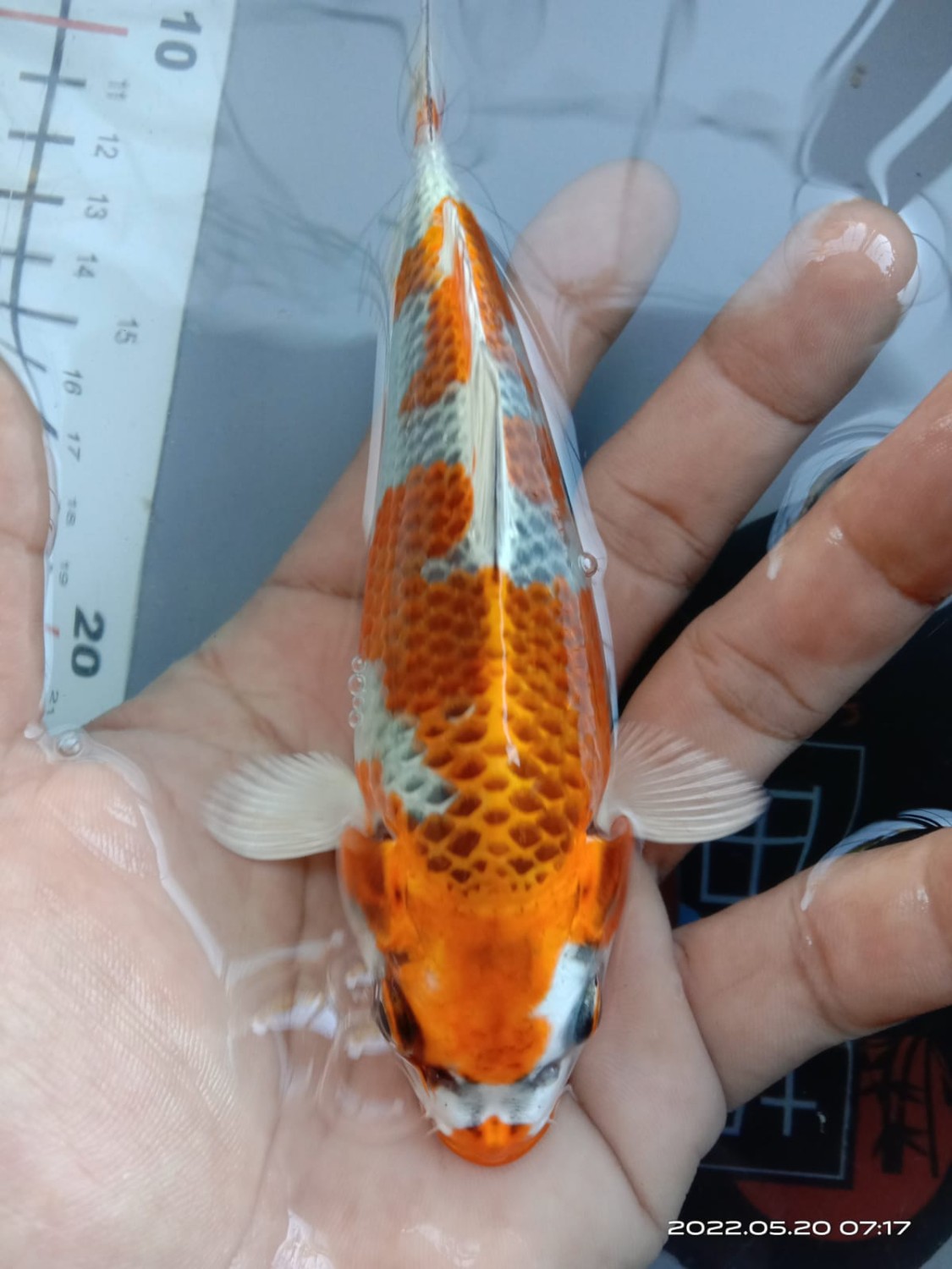 Juara 3