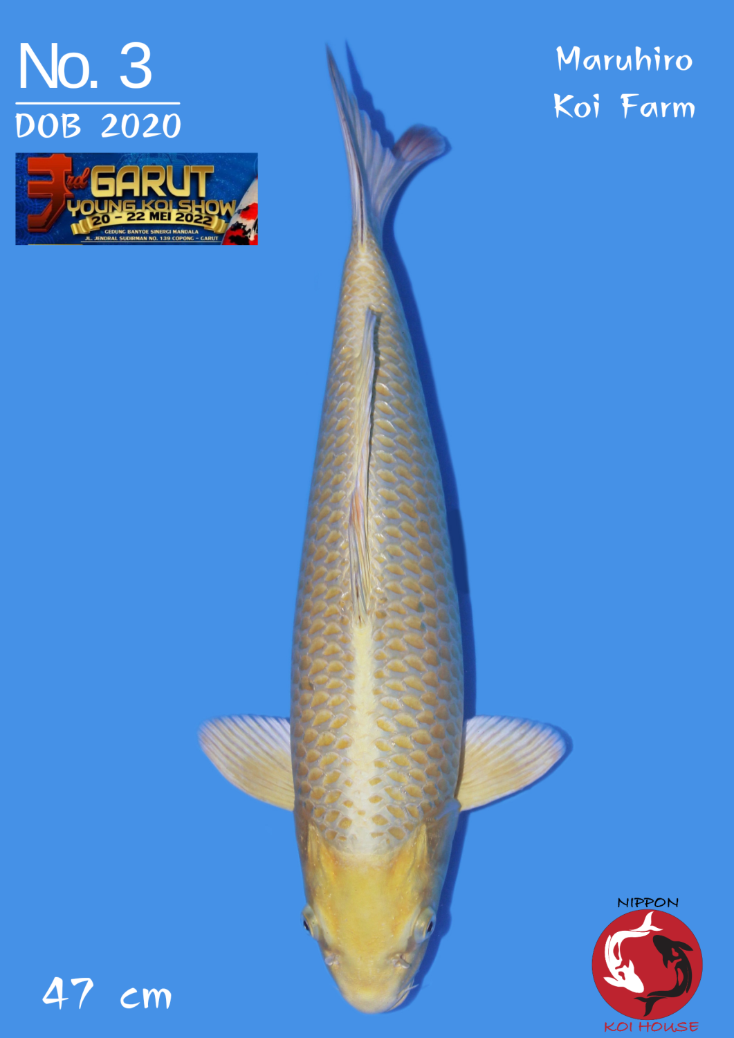 Juara 1