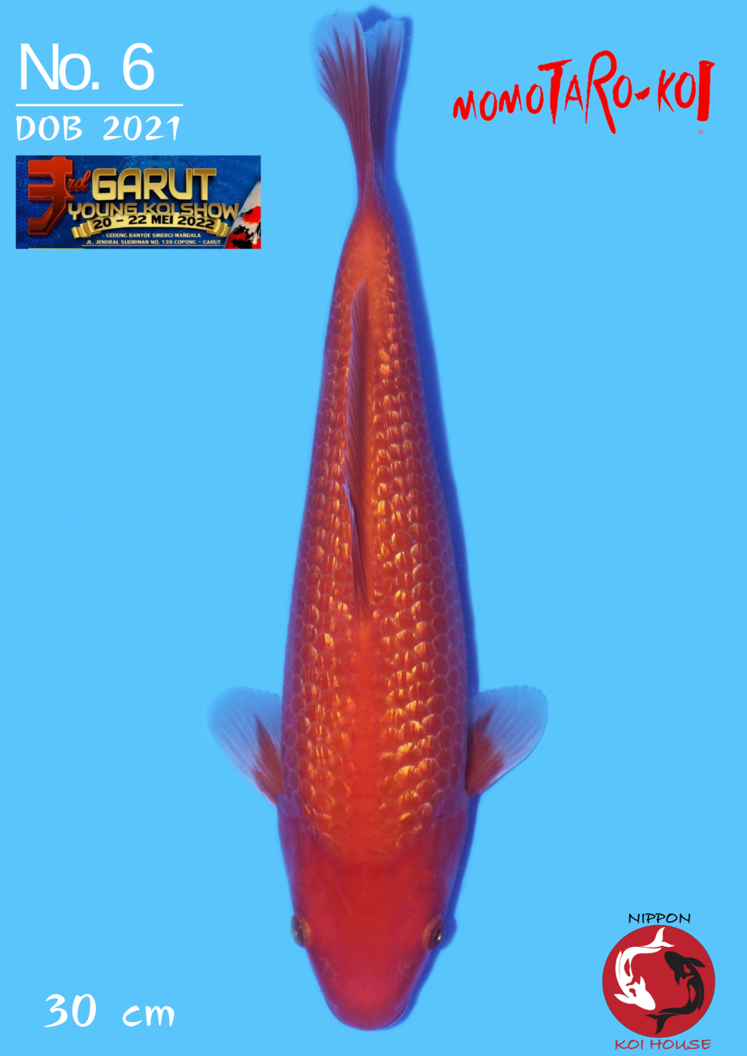 Juara 1