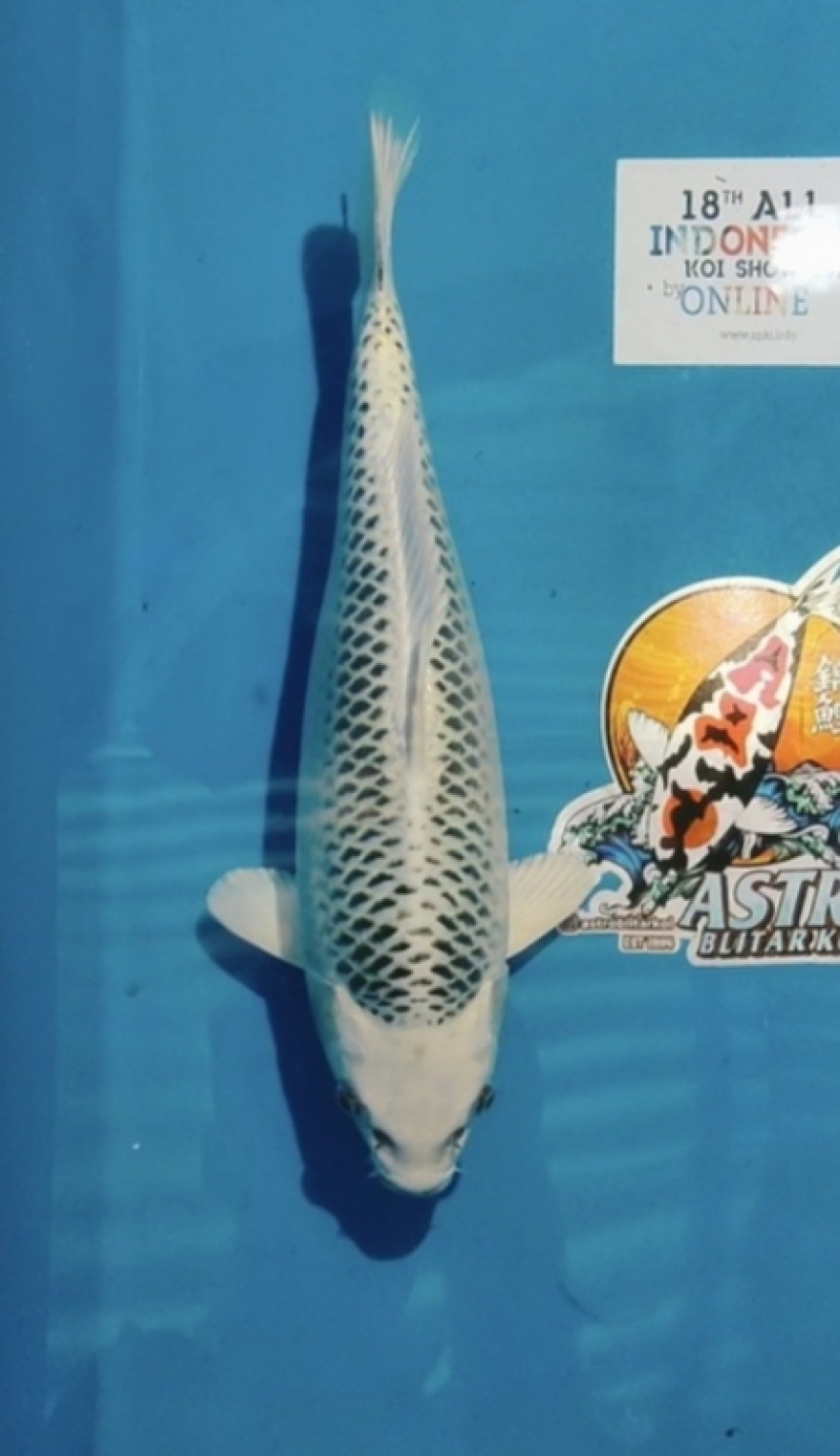 Juara 1