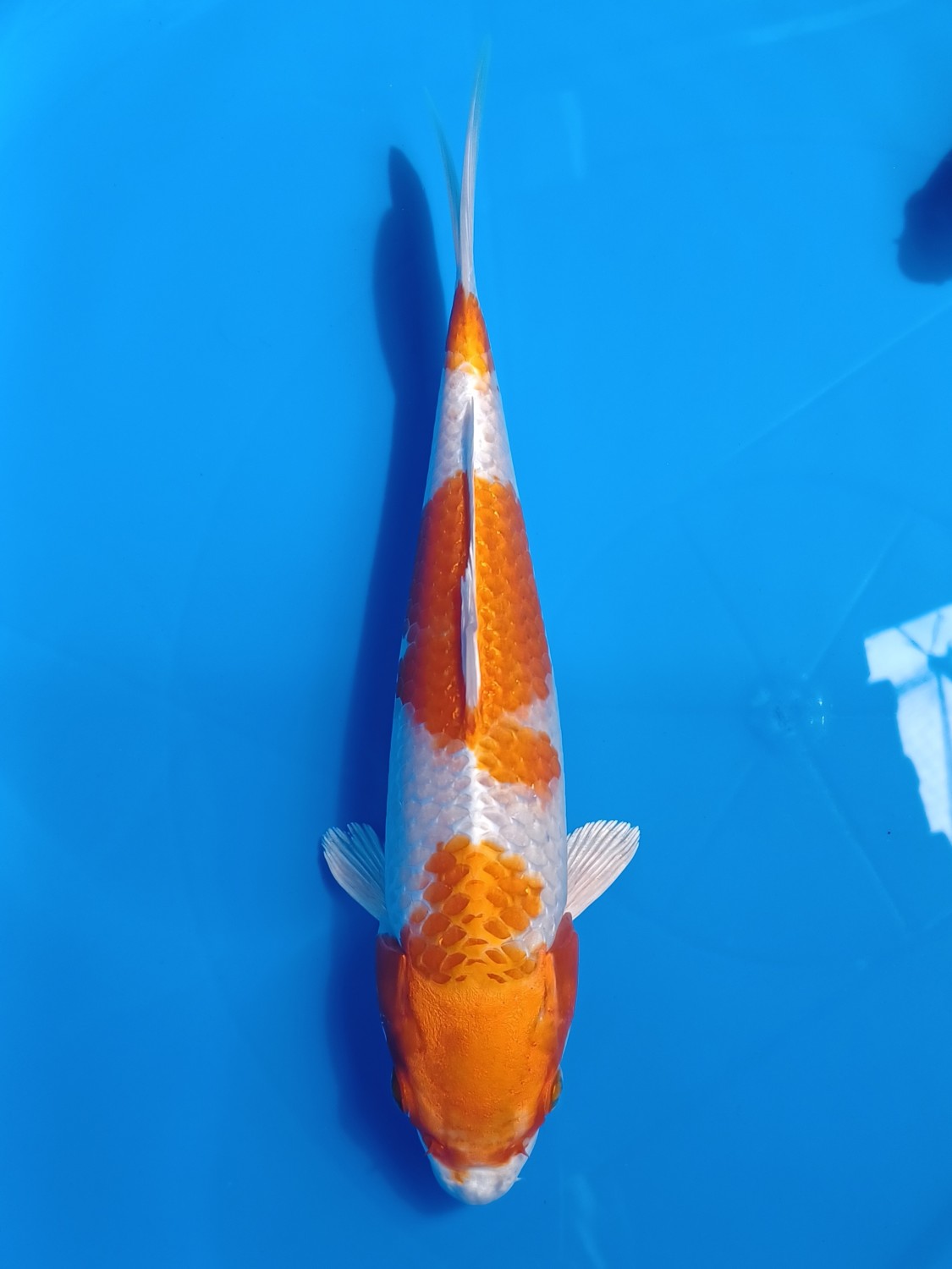 Juara 2