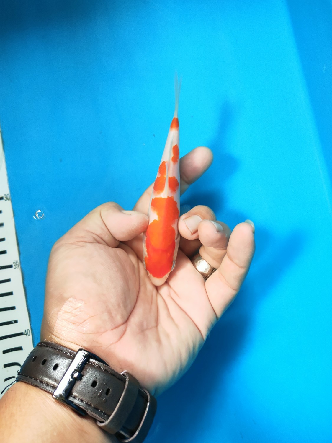 Juara 4