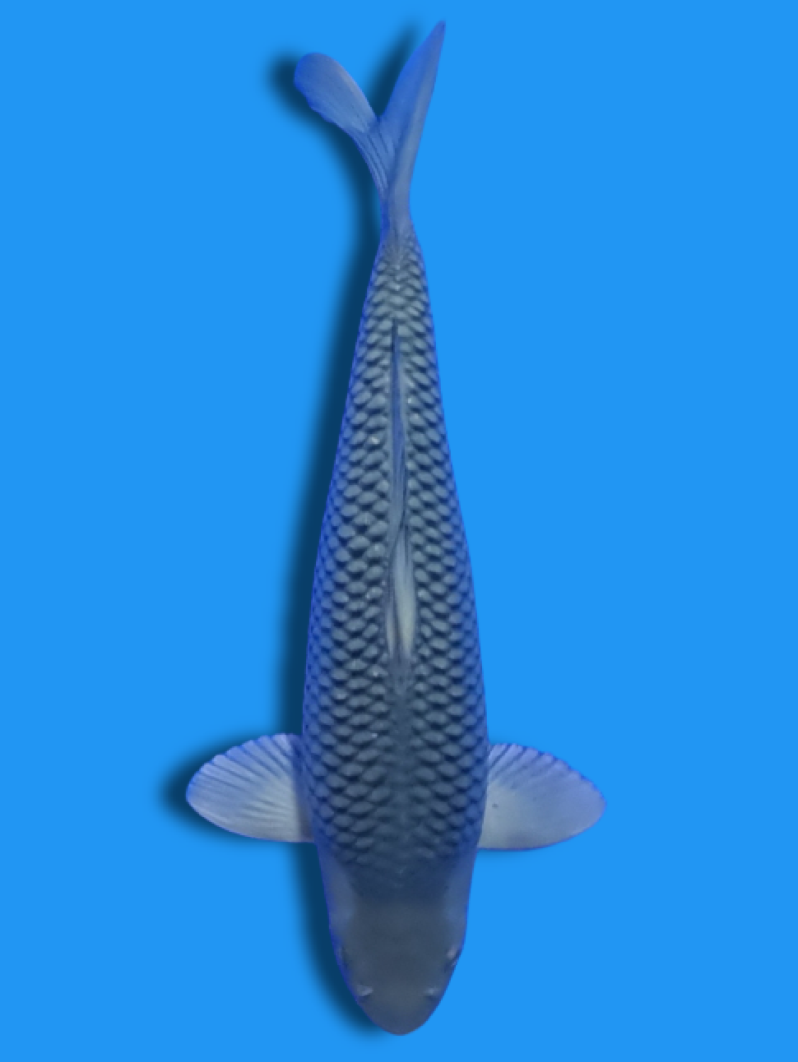Juara 2
