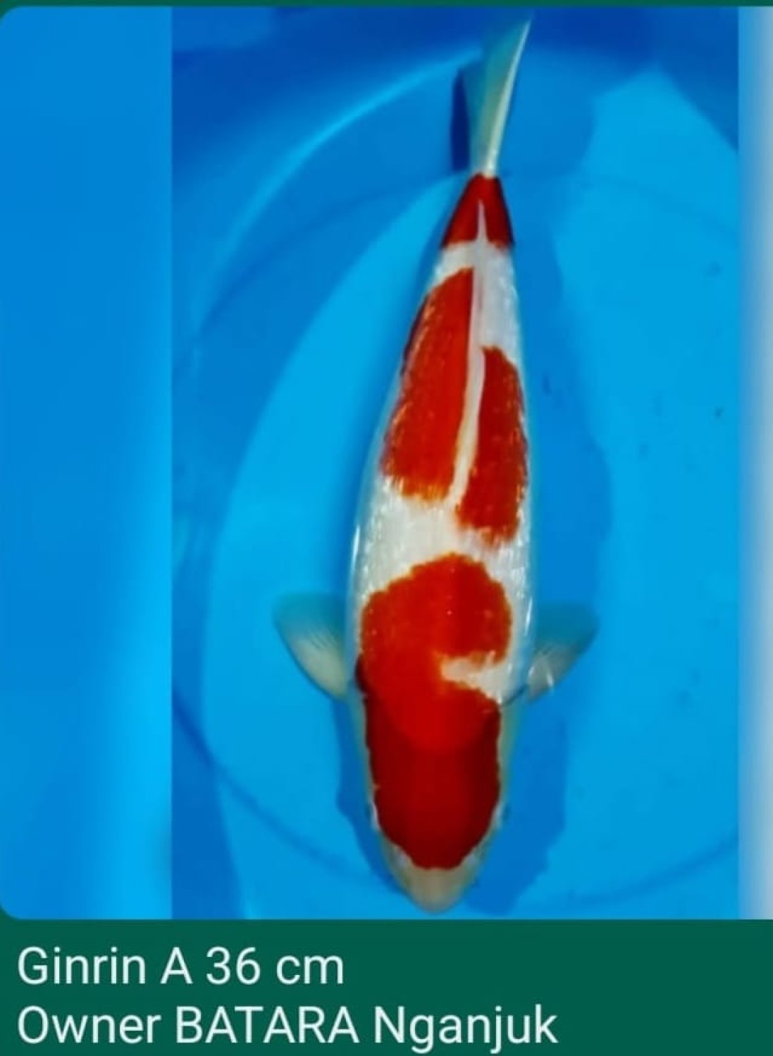 Juara 2