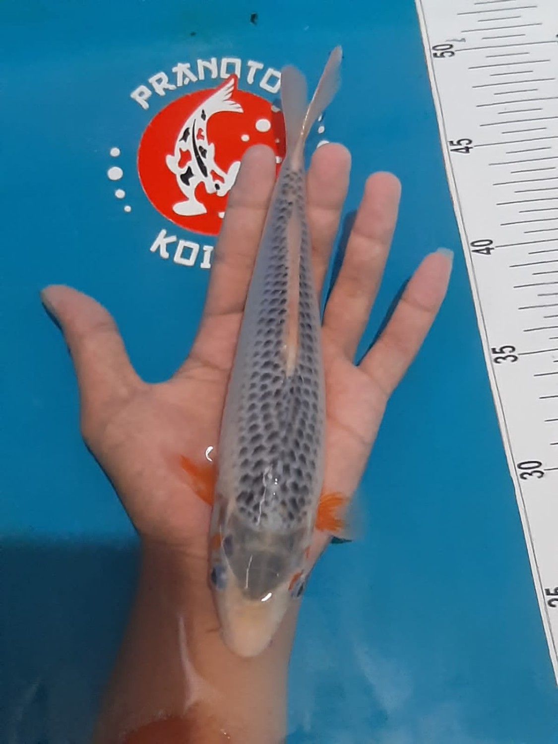 Juara 1