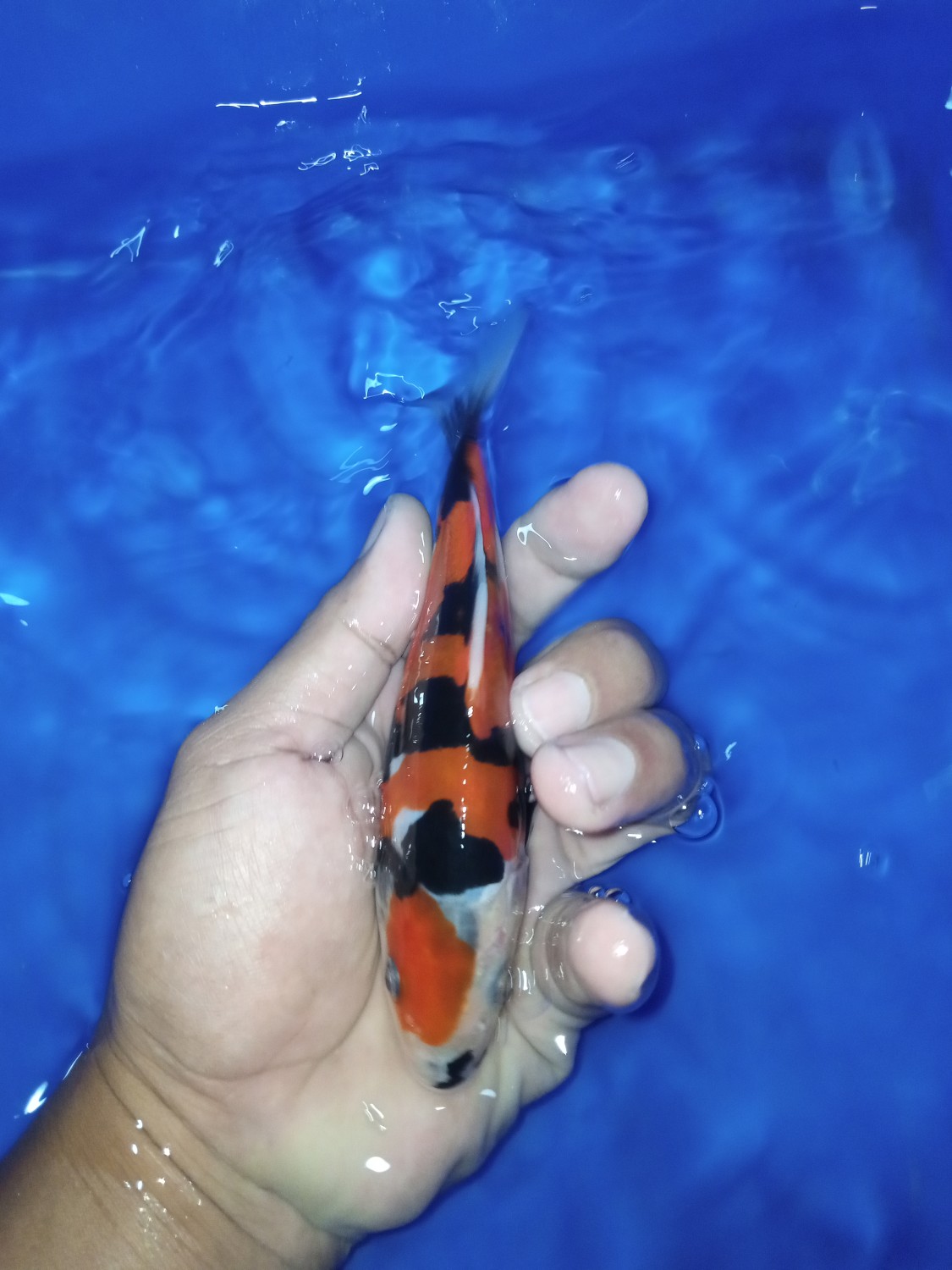 Juara 2
