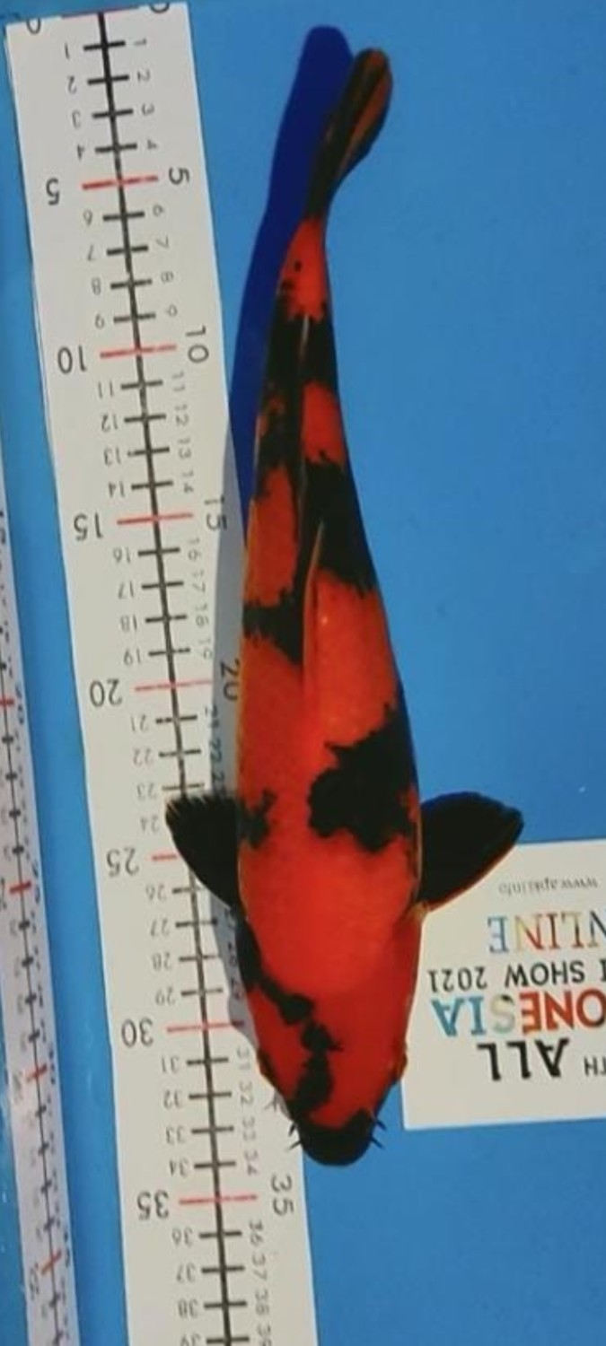 Juara 2