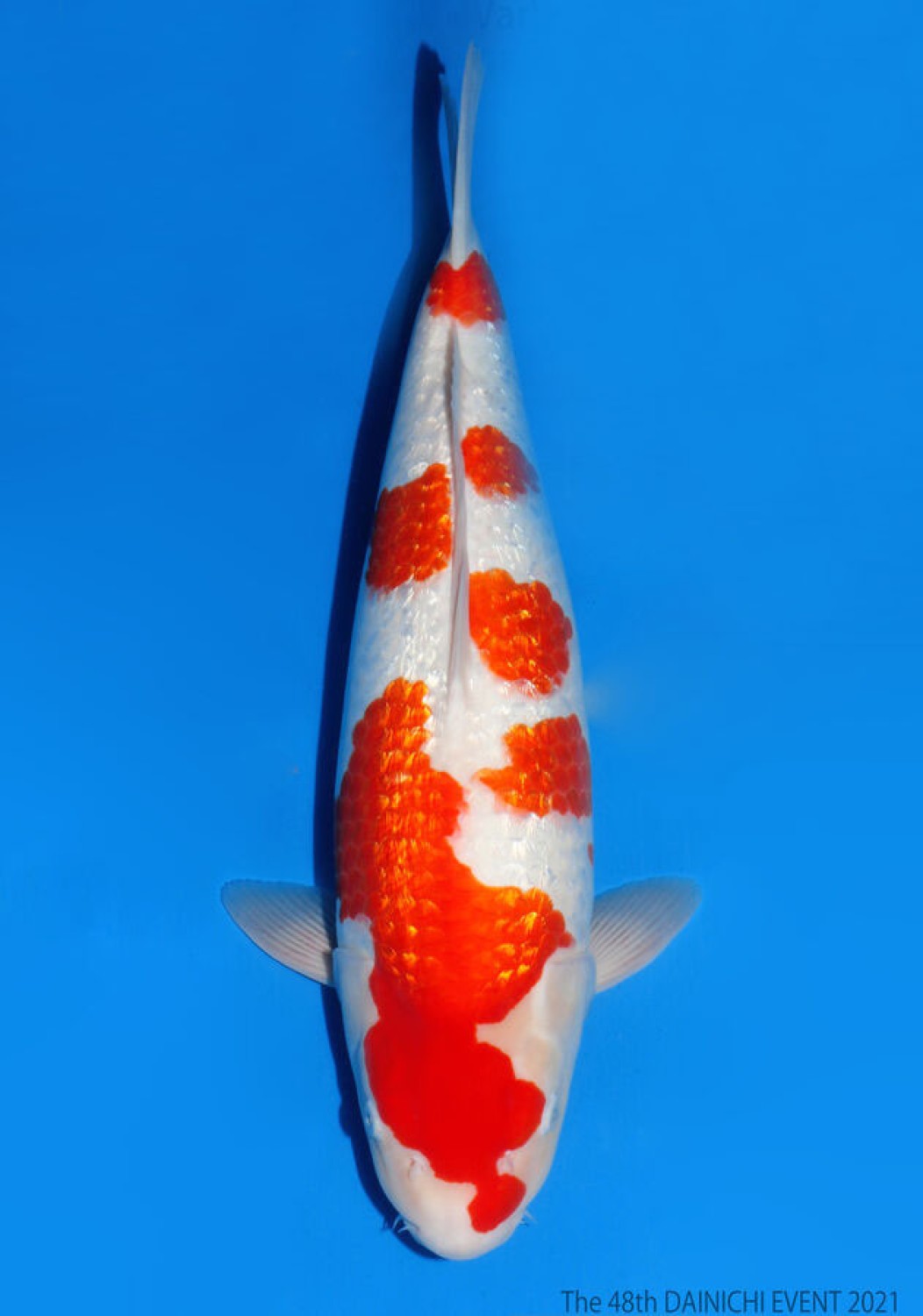 Juara 1