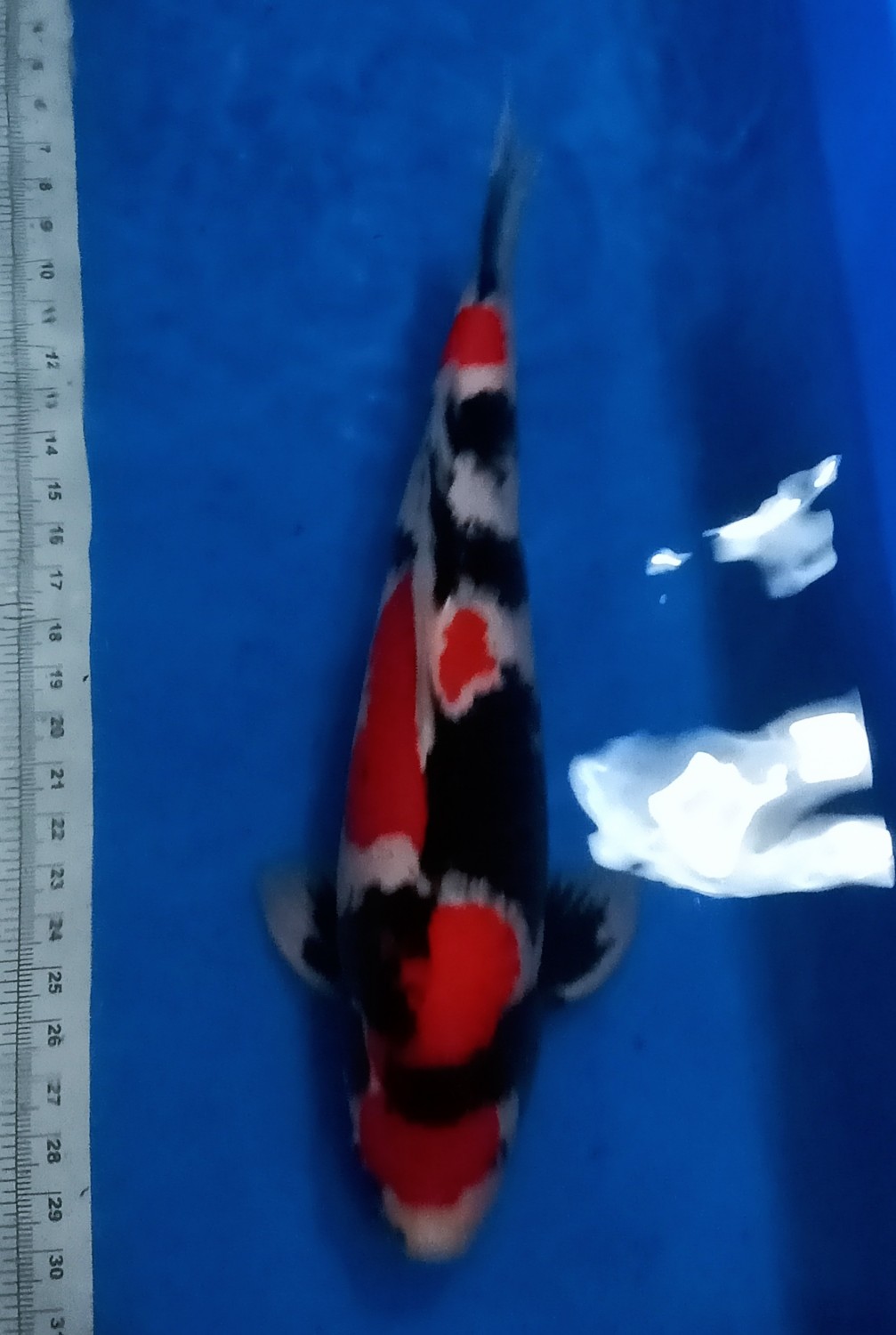 Juara 2