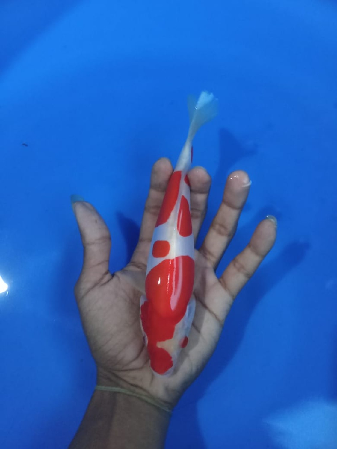 Juara 2