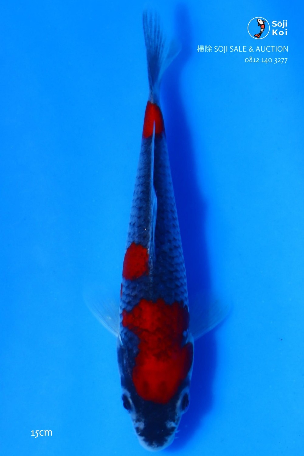 Juara 1