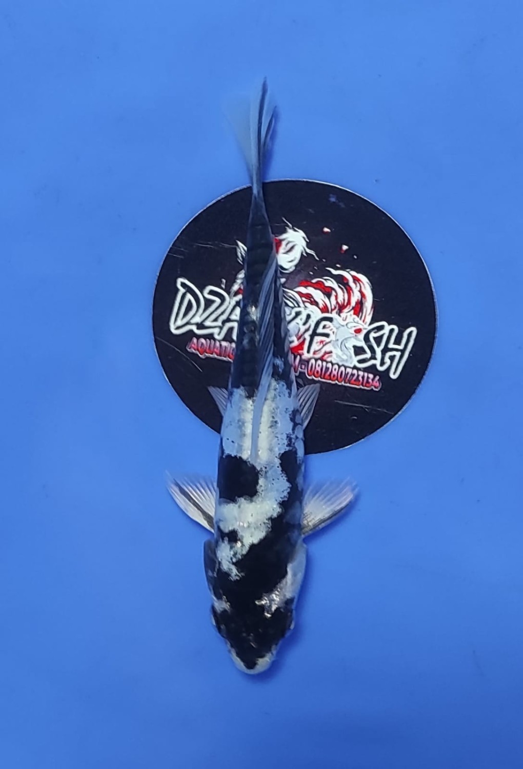 Juara 4