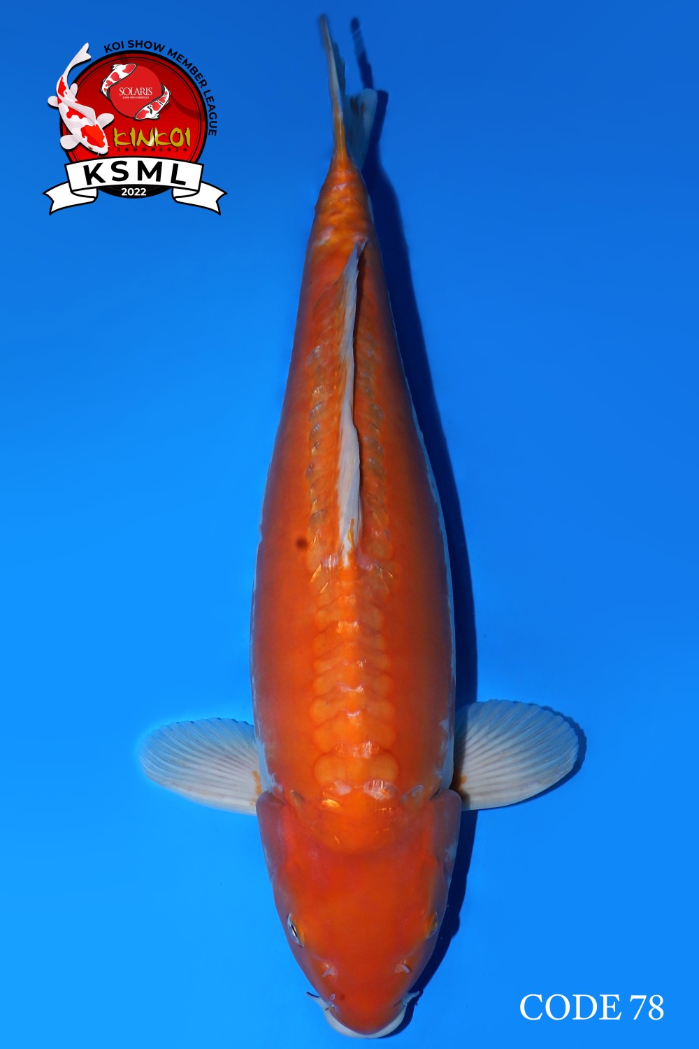 Juara 1