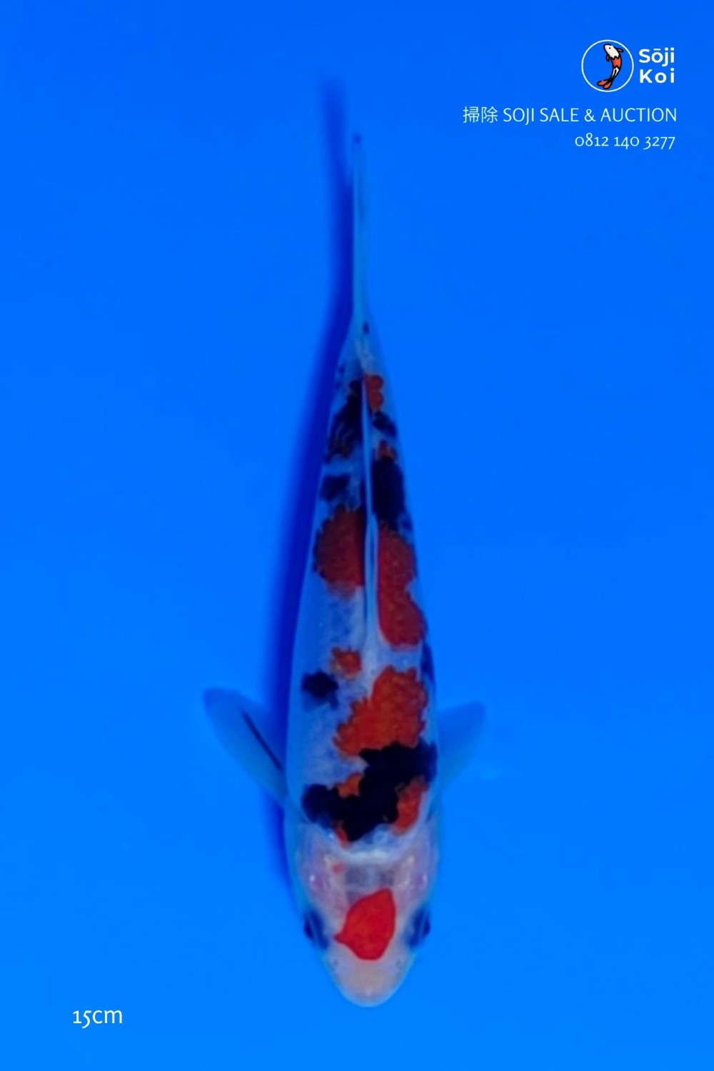 Juara 4