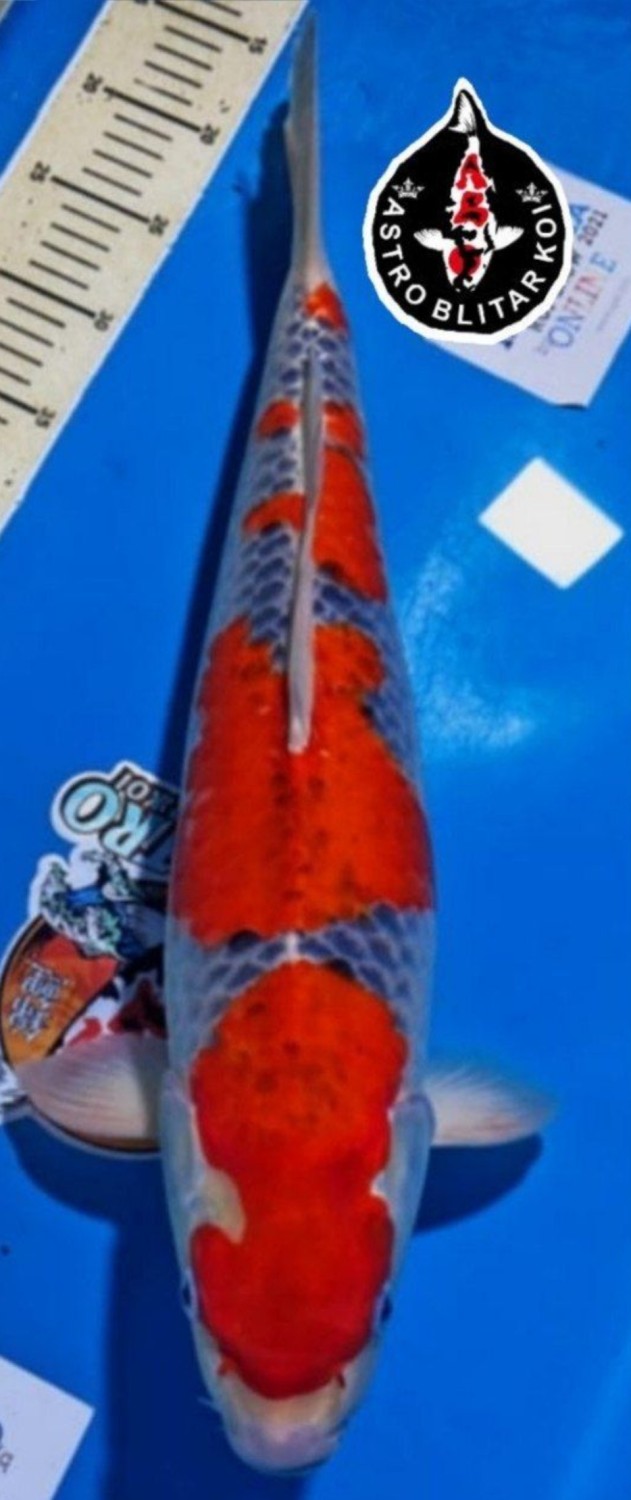 Juara 1