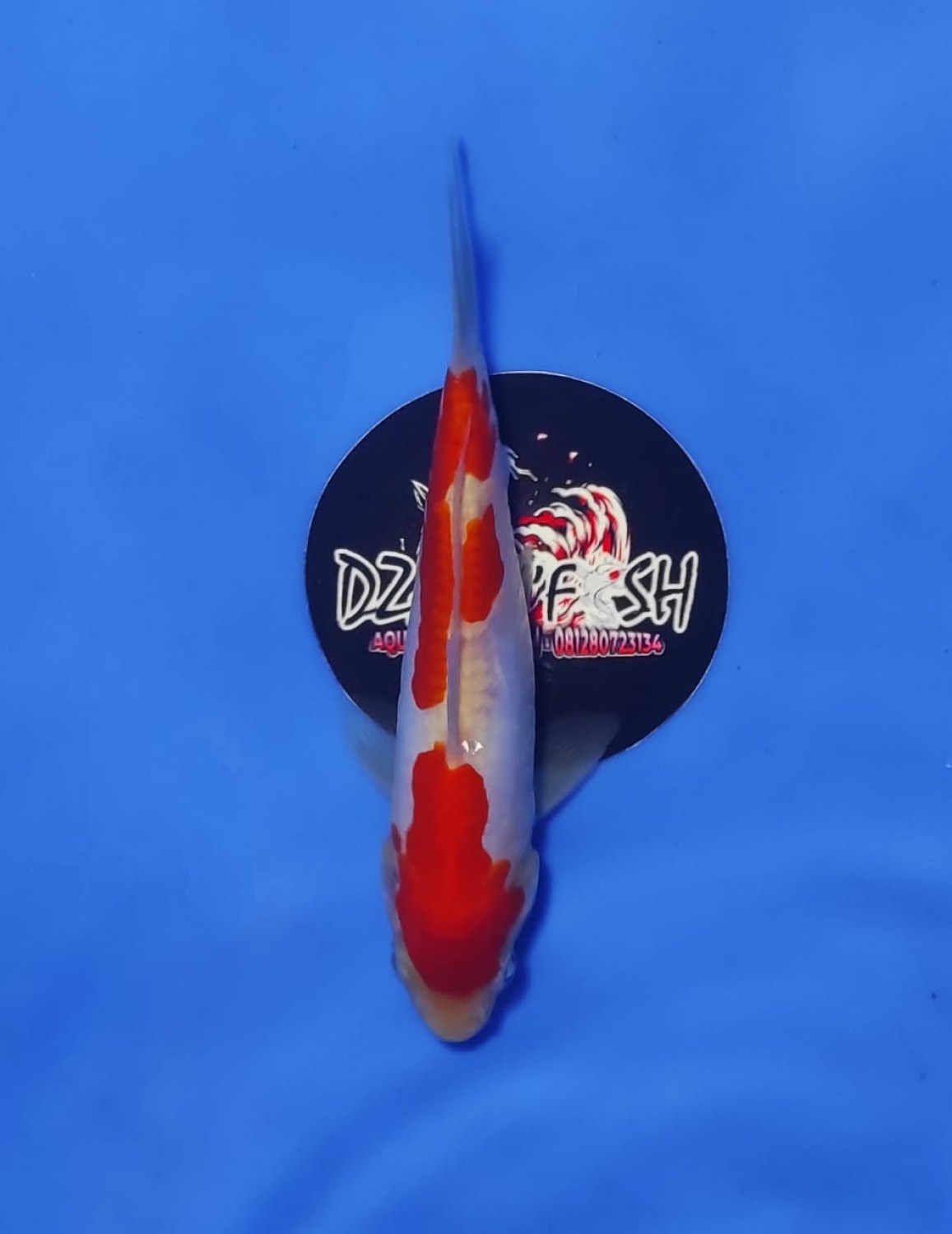 Juara 1