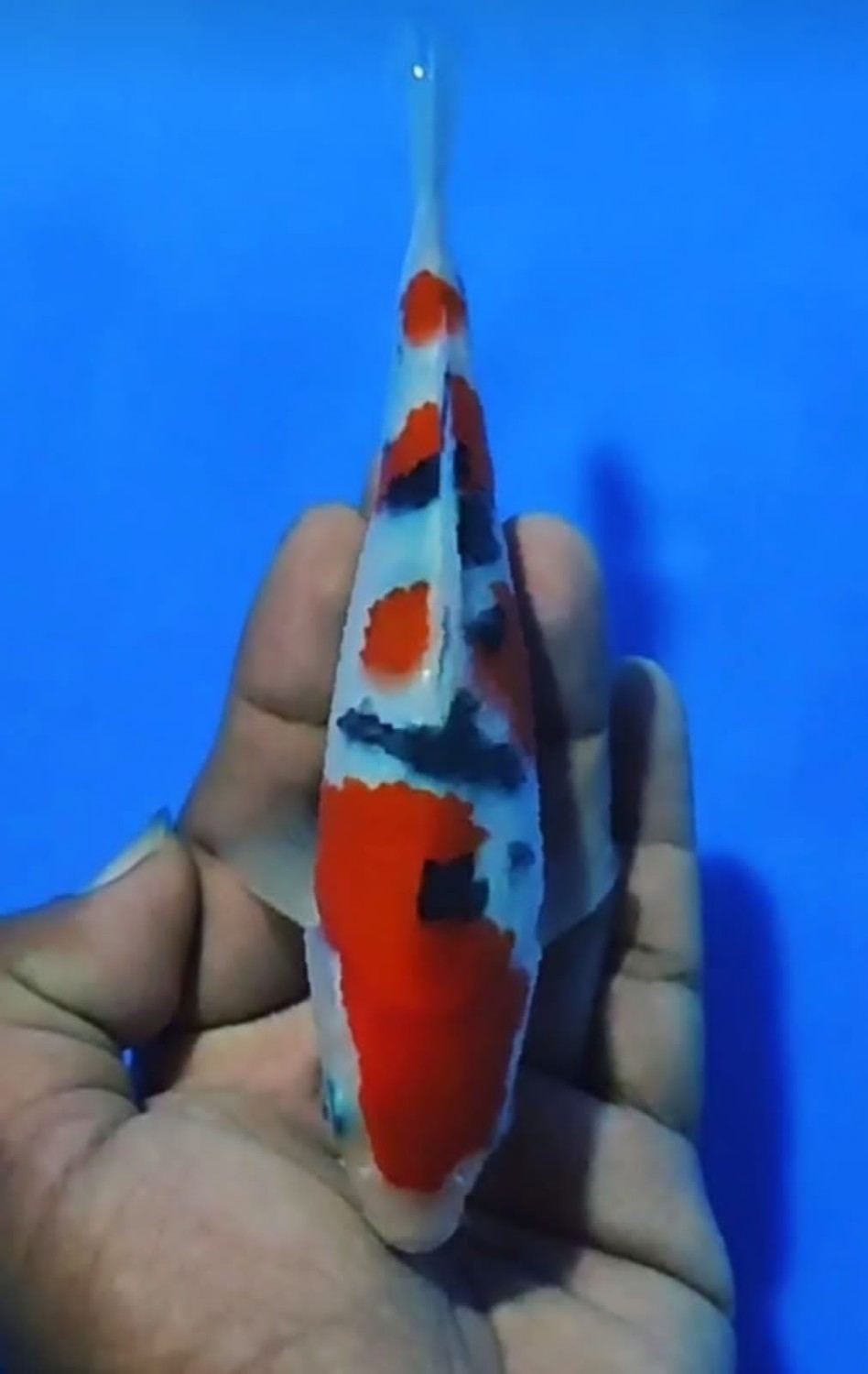 Juara 2