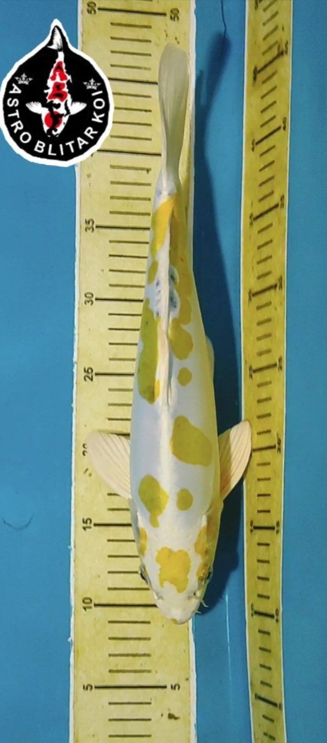 Juara 1