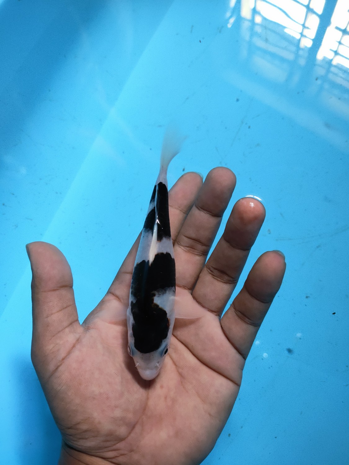 Juara 4