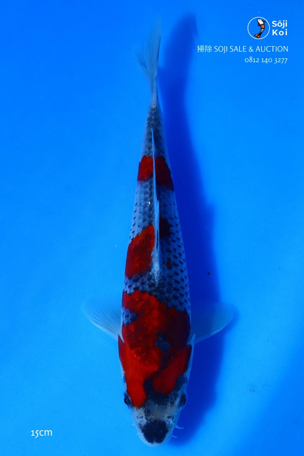 Juara 2