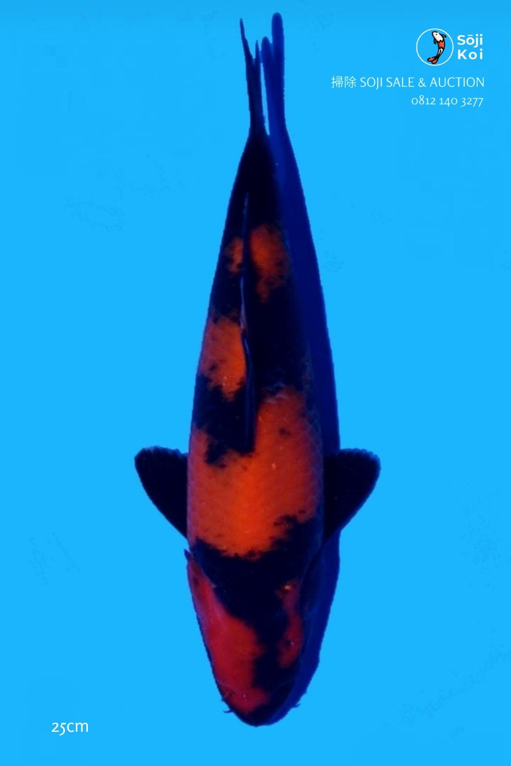 Juara 1